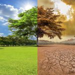 Propuesta de Acuerdo de Agroproducción con Restauración Ambiental para Enfrentar el Cambio Climático